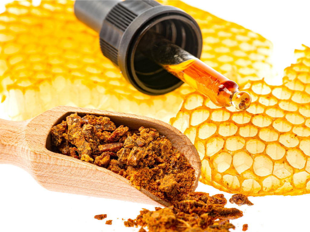 โพรโพลิส สารสกัดธรรมชาติที่ได้จากการผสมผสานของยางไม้ เกสร และ เอนไซม์ในน้ำลายผึ้ง
